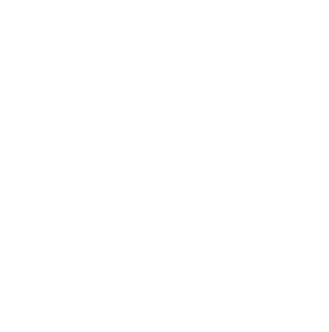 de Sien logo