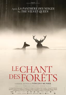 Le chant des forêts poster