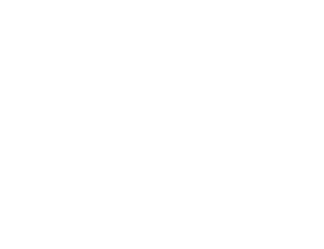 MIMIK logo