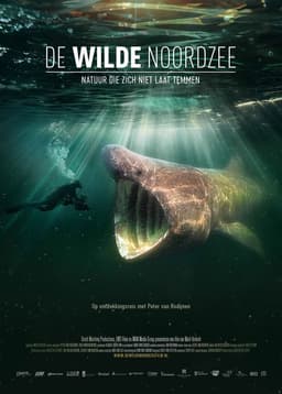 De Wilde Noordzee poster