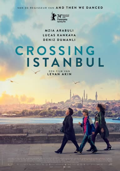 Poster van de film Crossing Istanbul