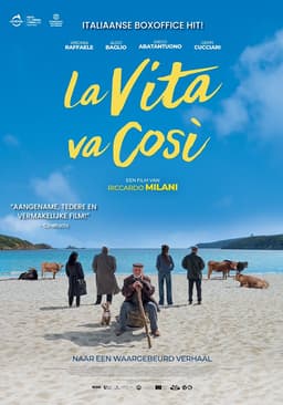 La Vita va Cosi poster