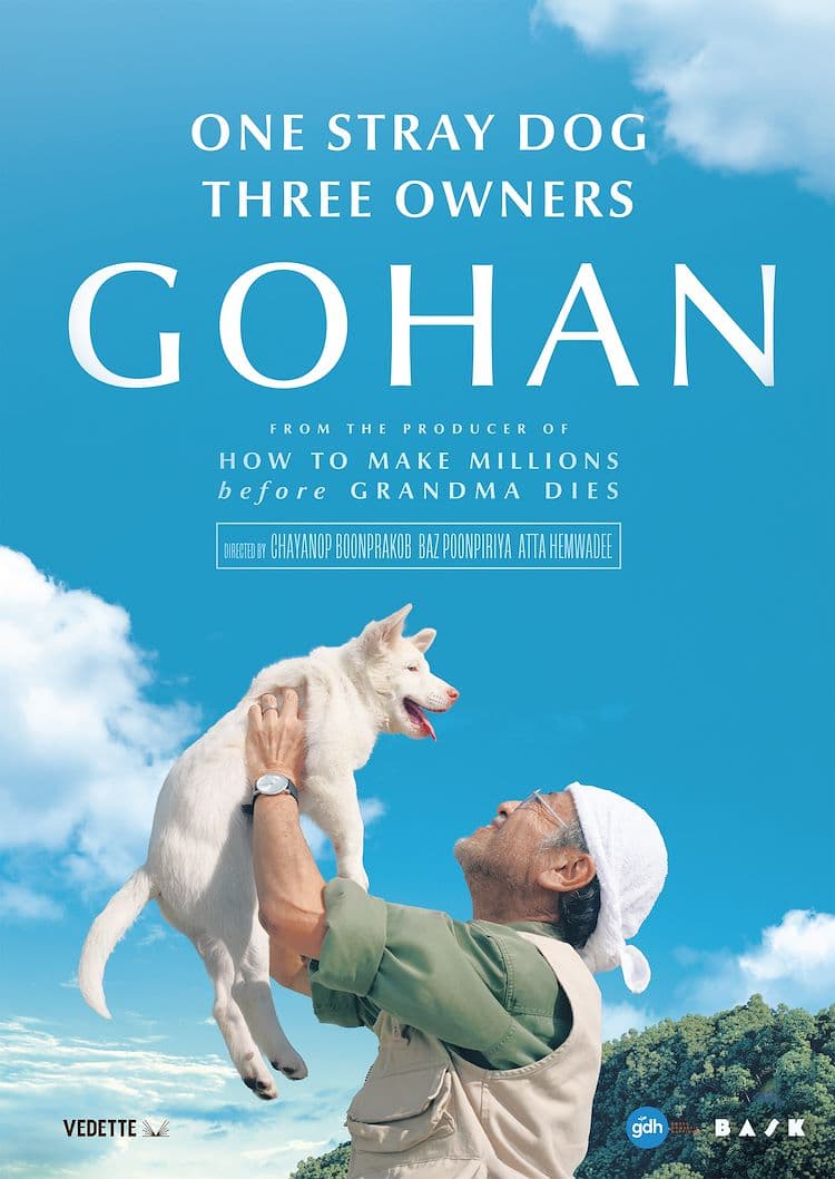 Gohan poster